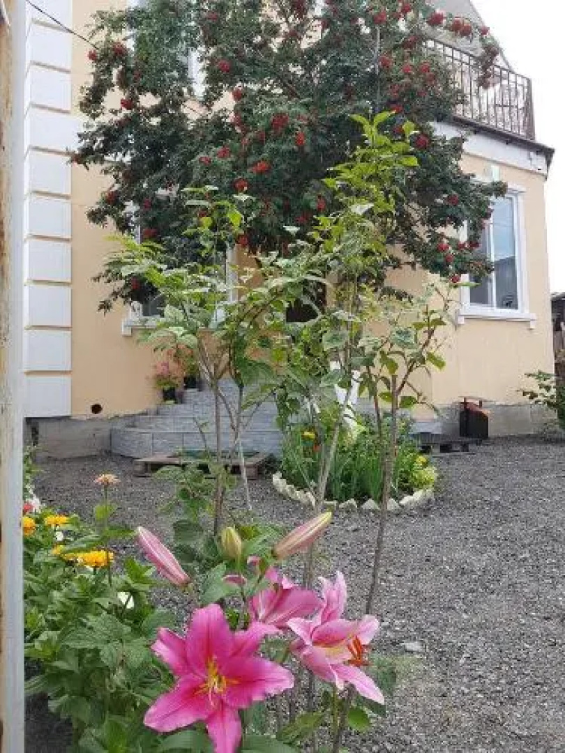 Dom U Naberezhnoy Hostel