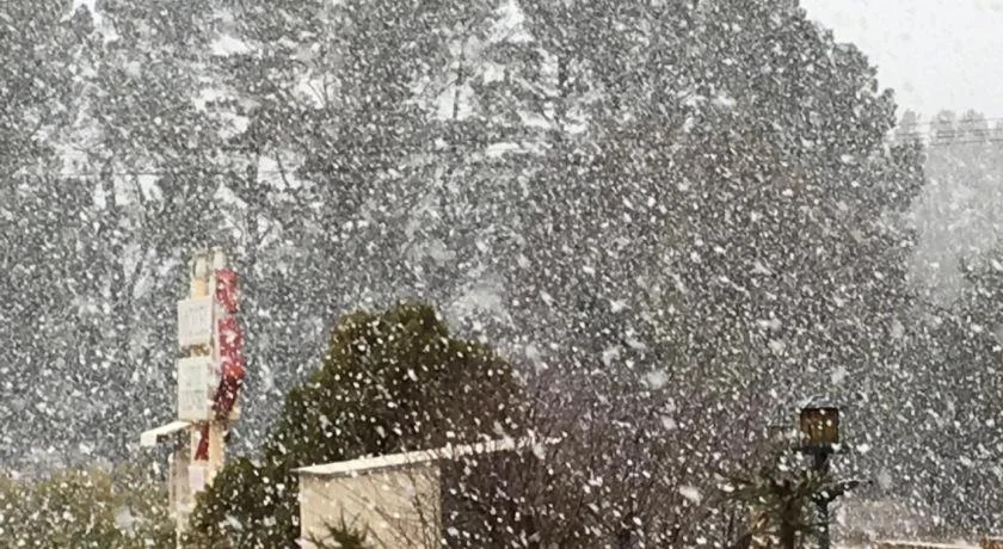 Alpine Country Motel