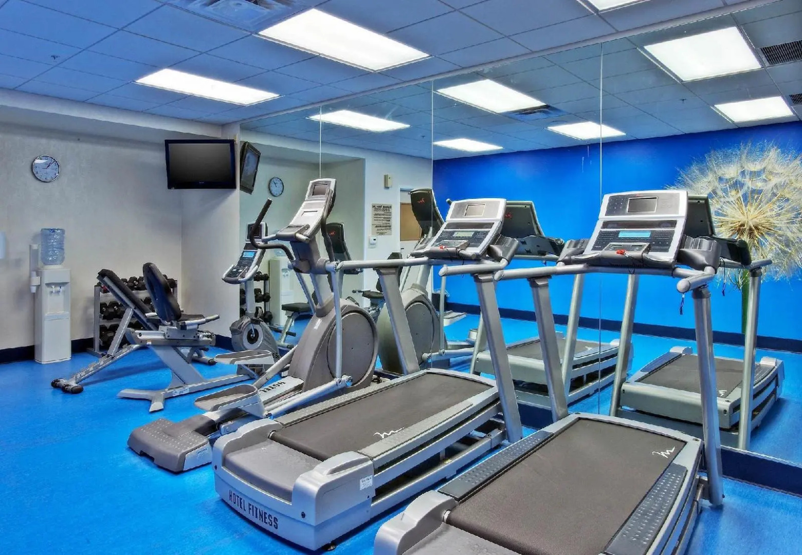 SpringHill Suites by Marriott Baton Rouge North/Airport