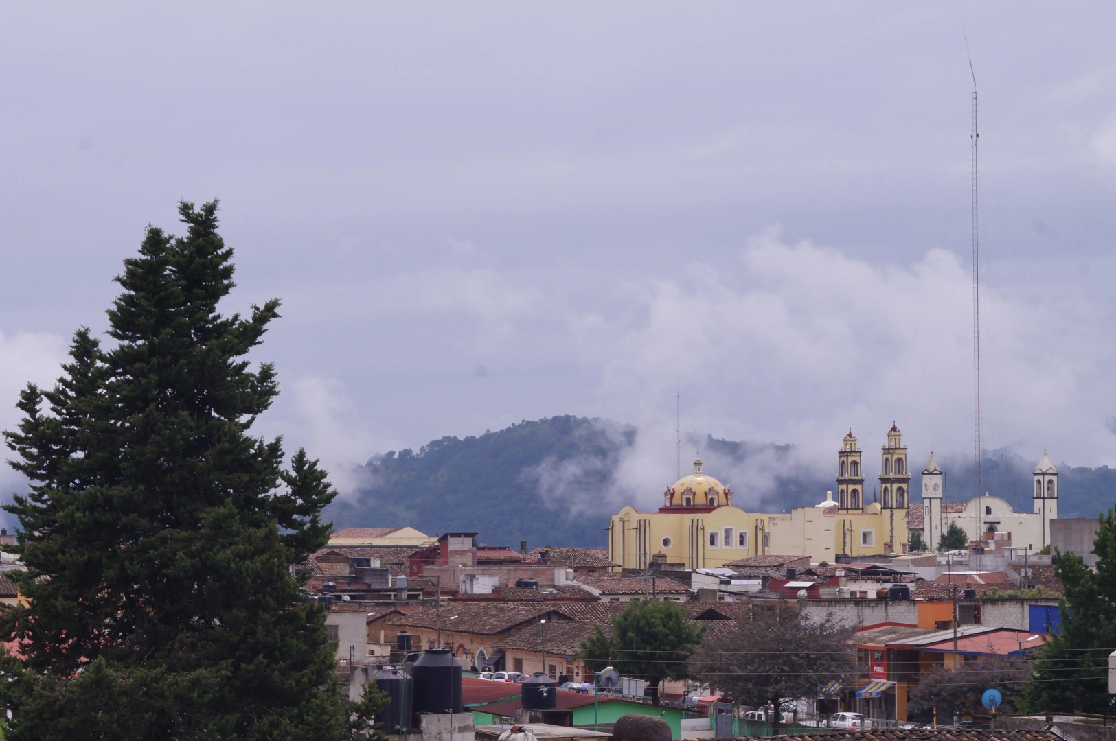 Hotel Posada El Alcanfor