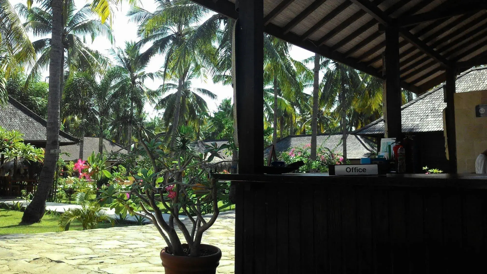 Trawangan Oasis