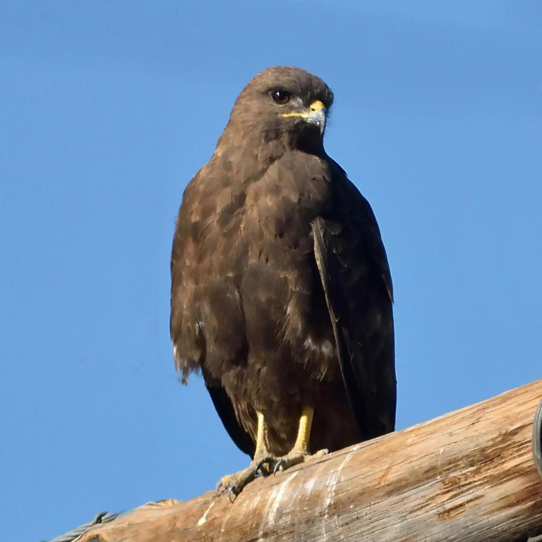 Sneeuberg Nature Reserve