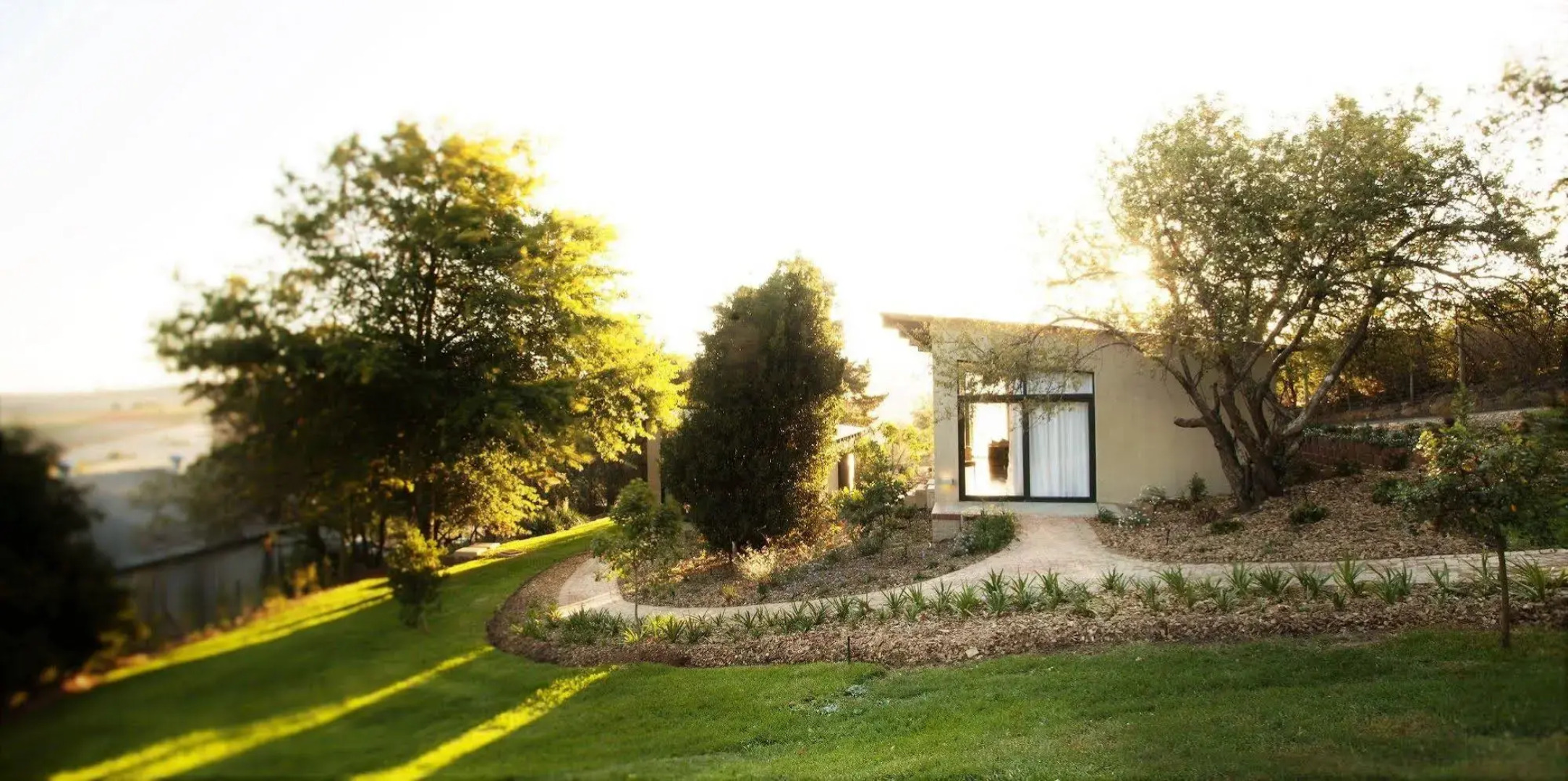 Sugarbird Manor at Protea Heights Farm