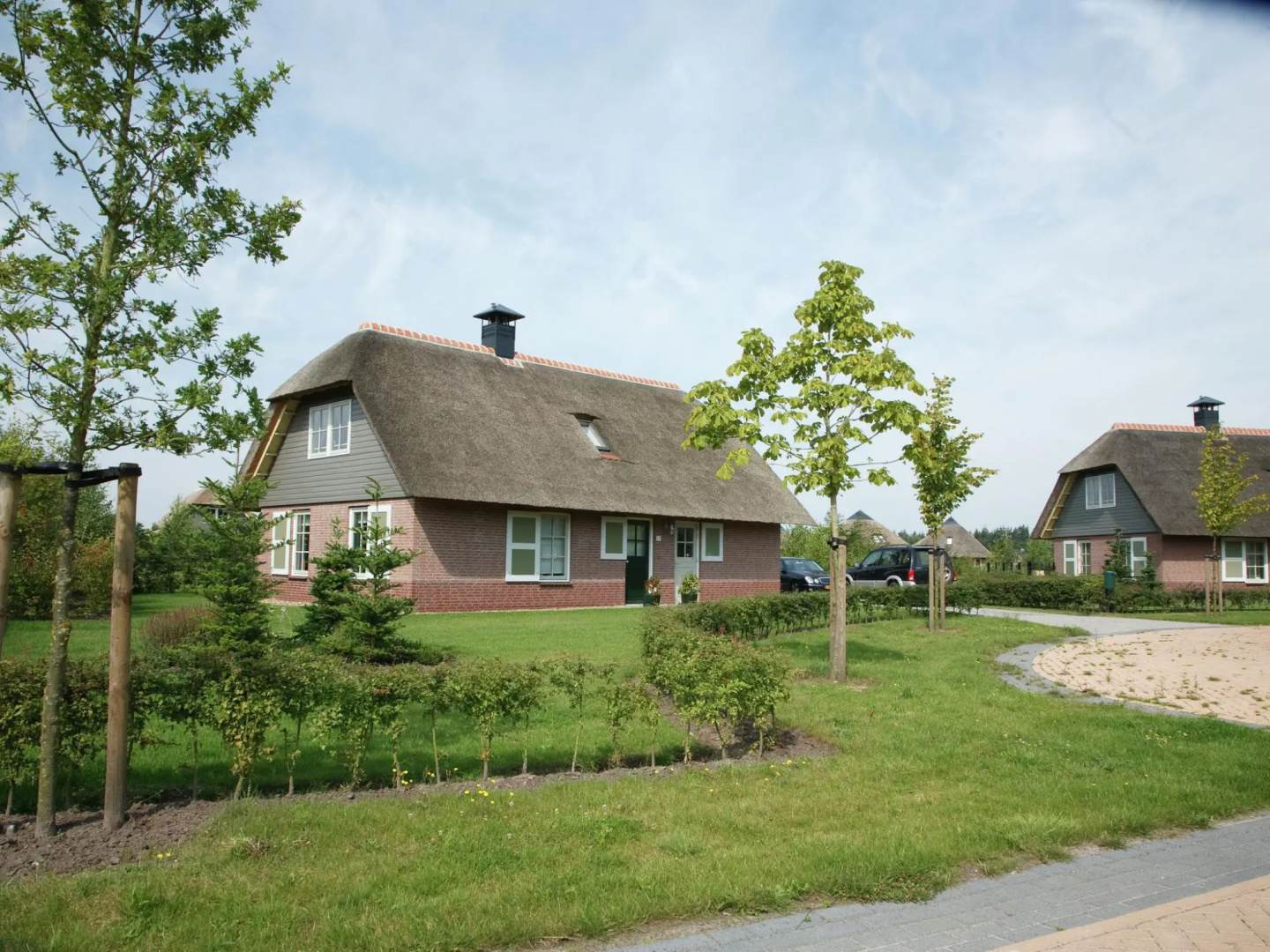 Detached Holiday Home With two Bathrooms Near Appelscha