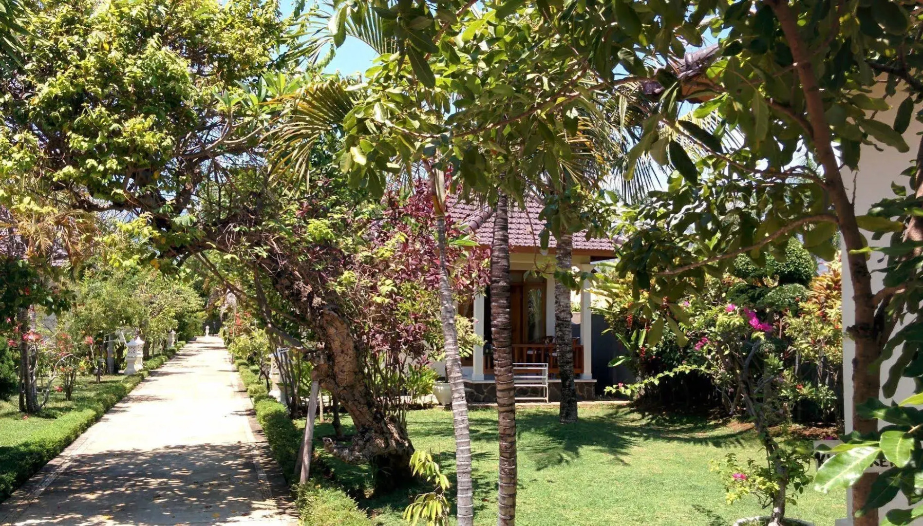 Starlight Hotel Lovina