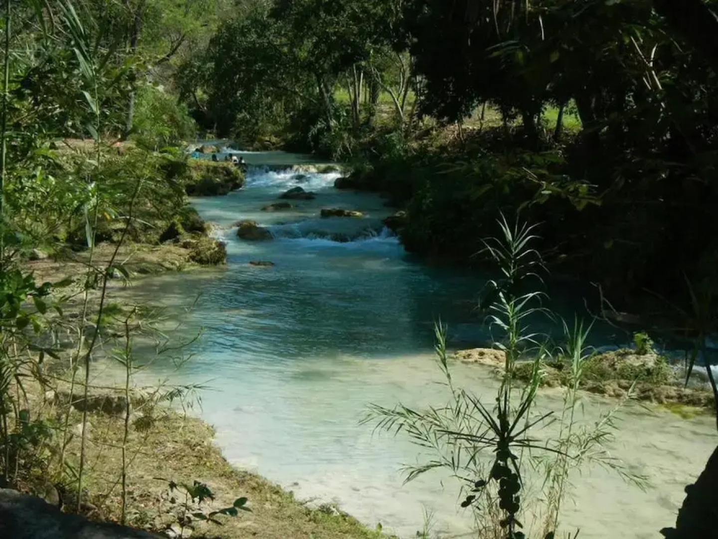 Room in Lodge - Sierraverde Cabins "cabaña la Palma"