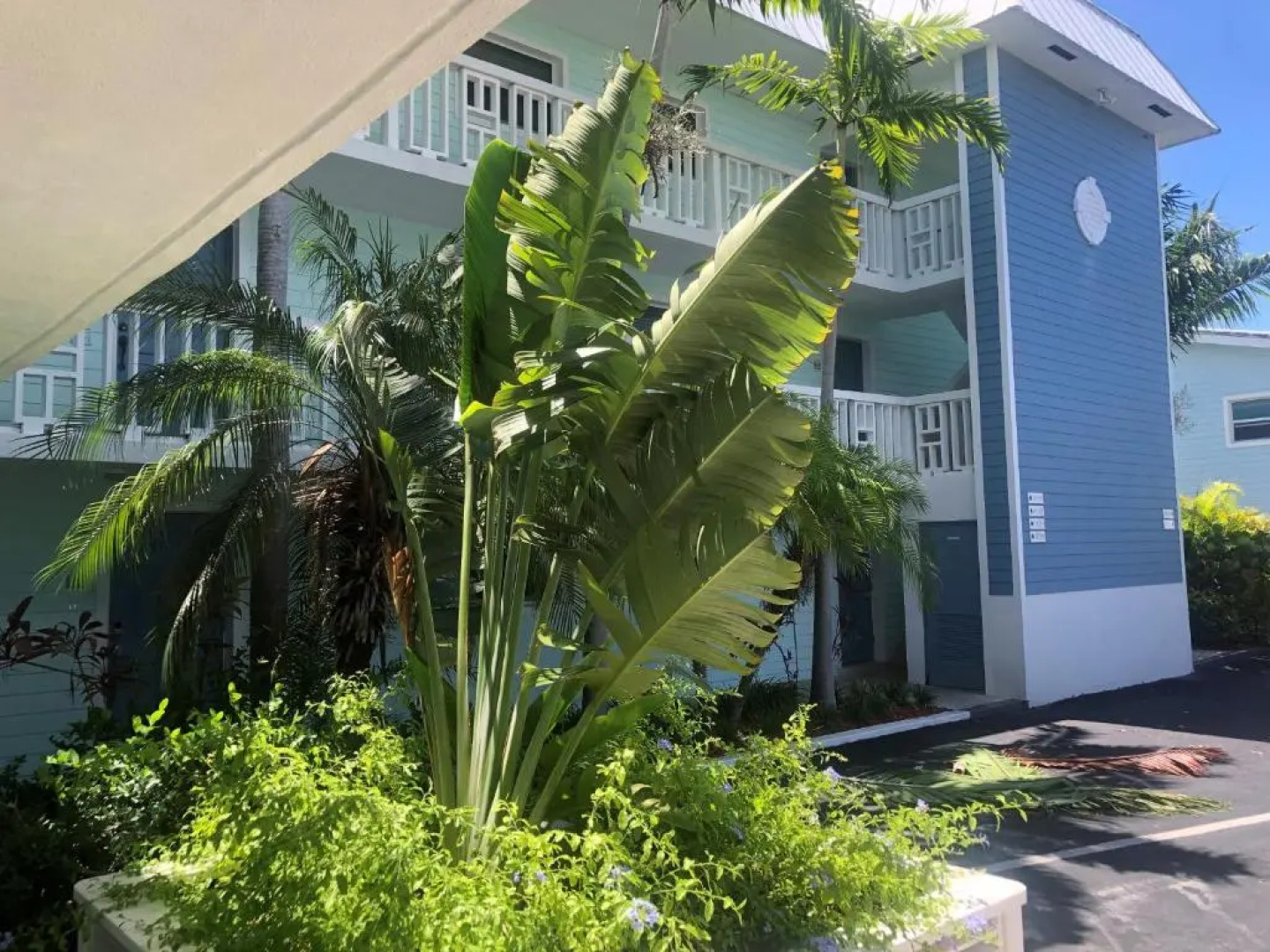 Dolphin Cove - Adults Only