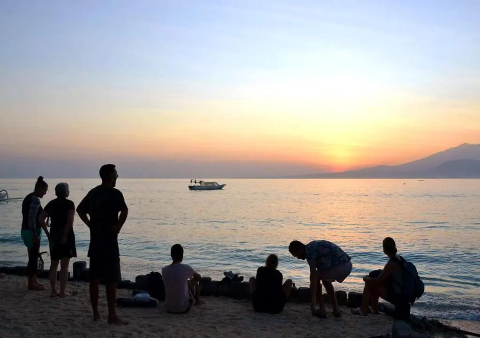 The Rabbit Tree - Hostel