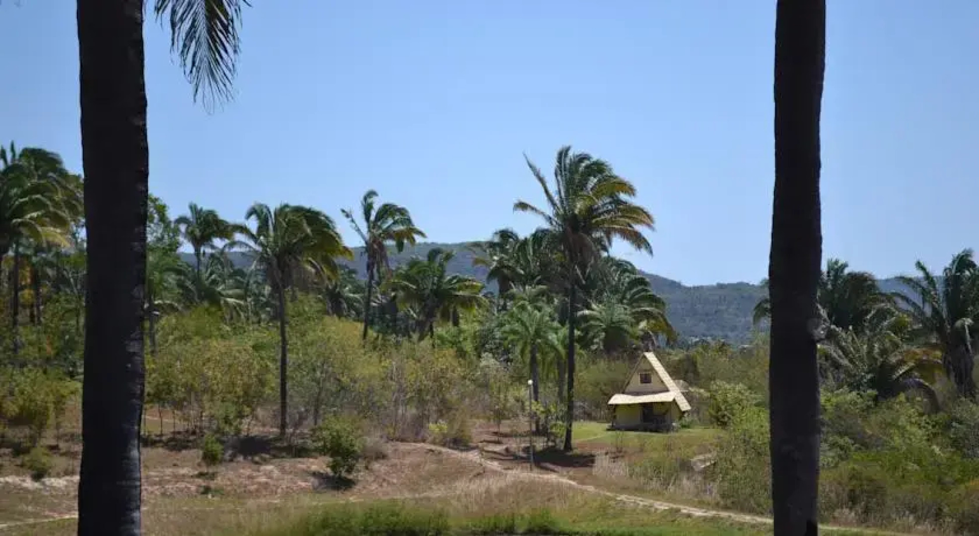 Pousada Sitio Pinheiros