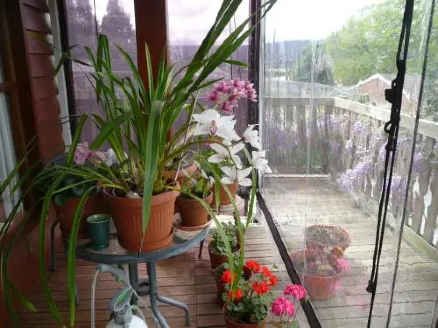 Wisteria Lodge Bed and Breakfast