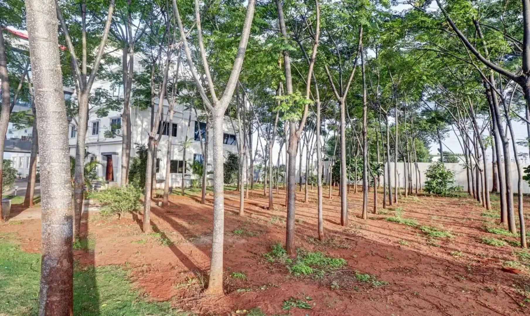 Treebo Trend Grand JP Inn