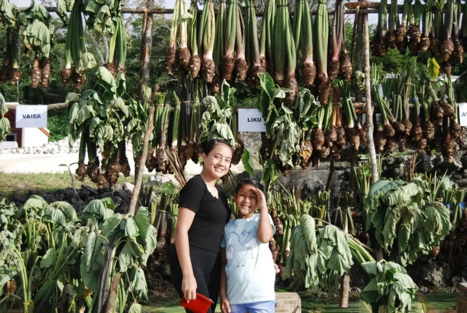 Heleni Jessop's Fatahega