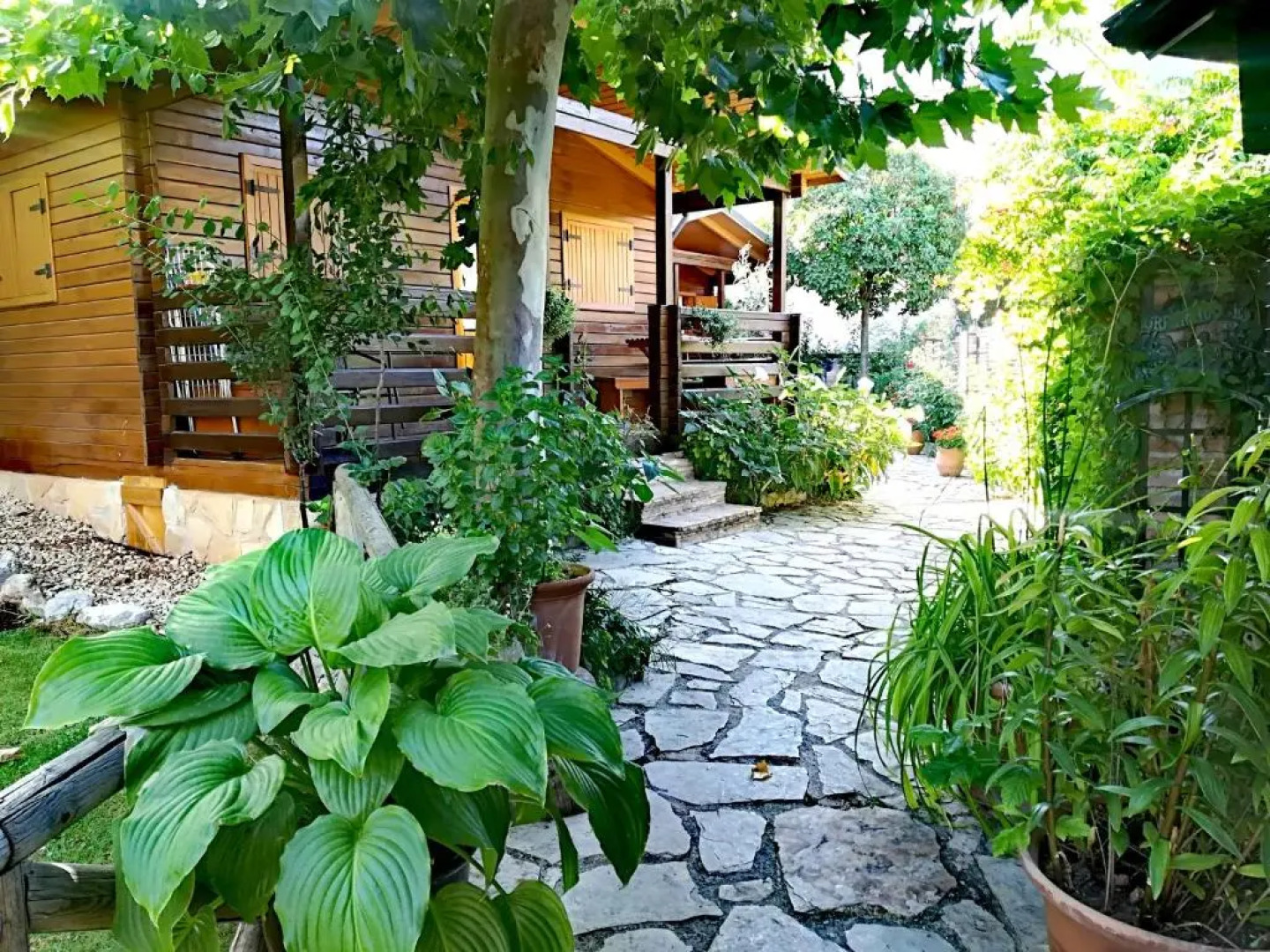 Cabañas de Madera Los Pinos