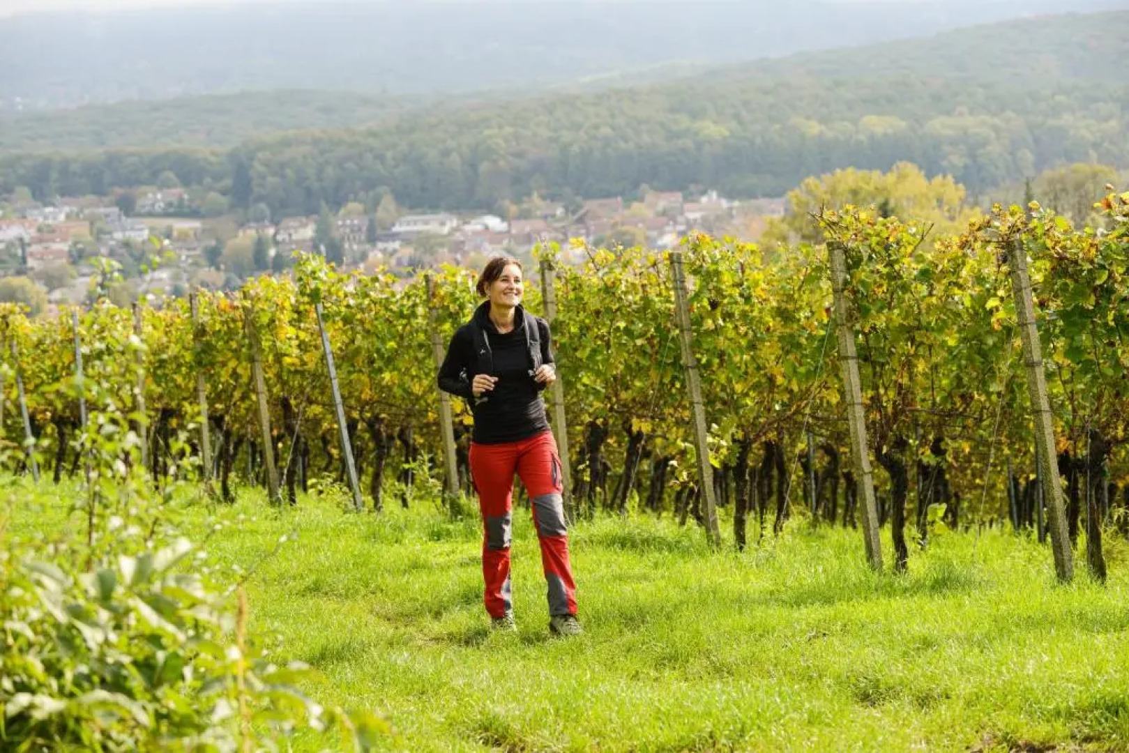 Appartement-Hotel im Weingarten
