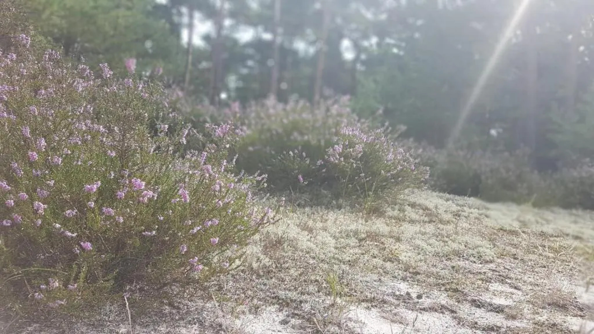 Blue Marine Apartament 19 z tarasem