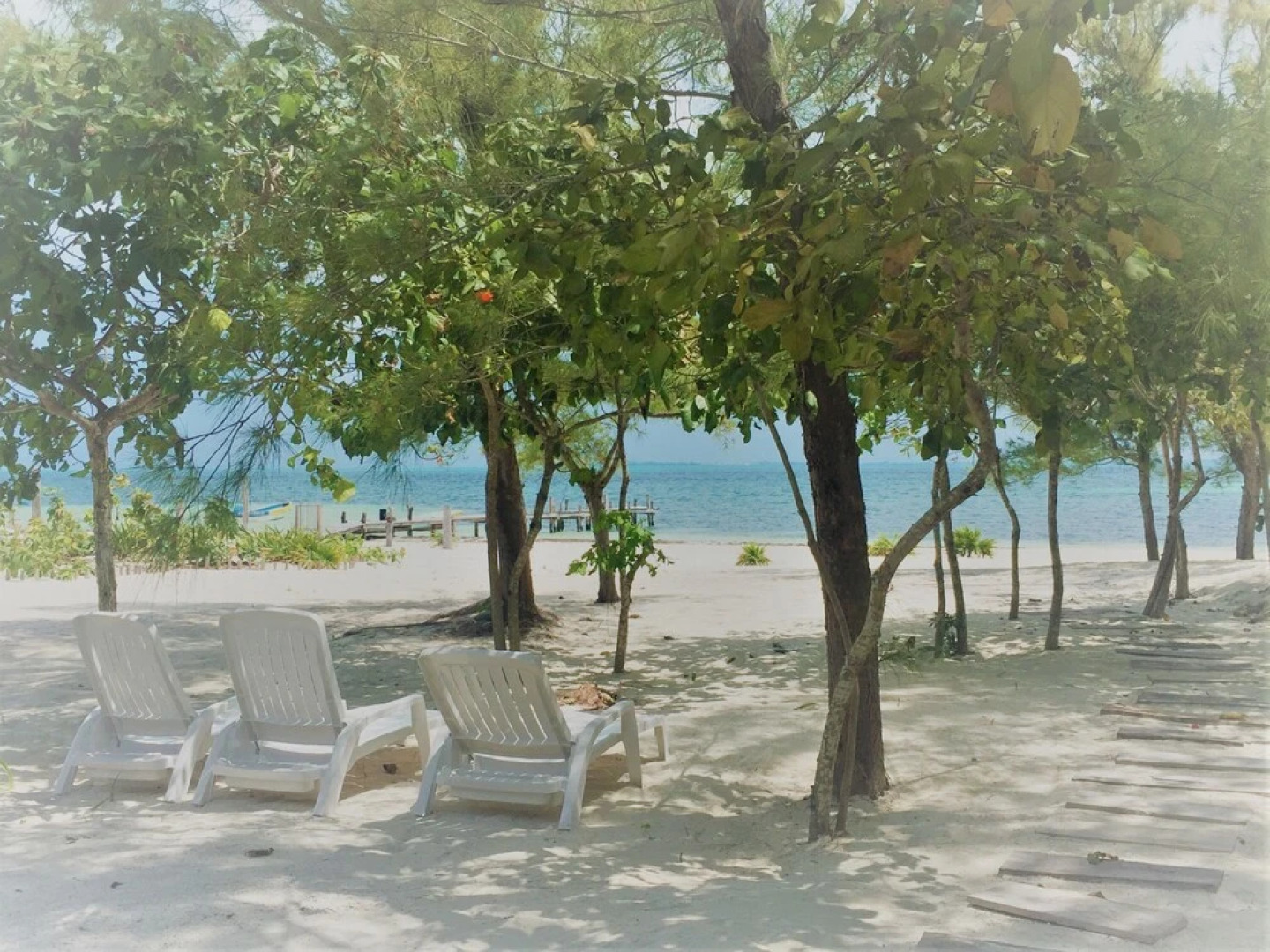 Sea by C - Apartments - Adults Only