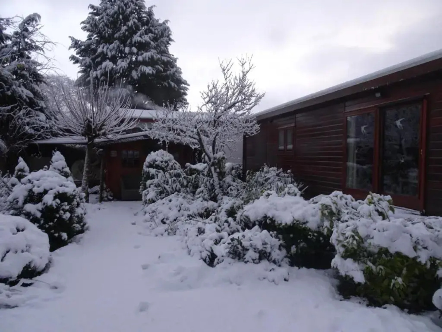 Veluwe Park Reewold Chalet Infinity