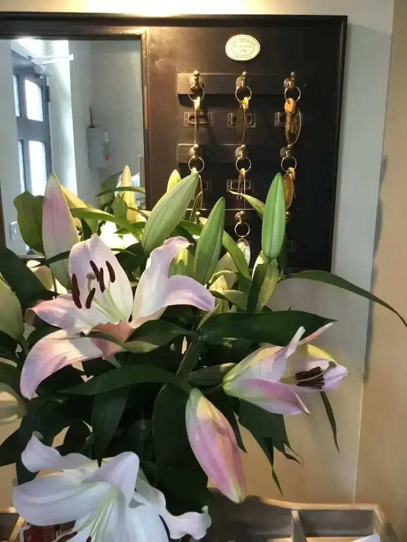 The Bridge House Boutique B&B