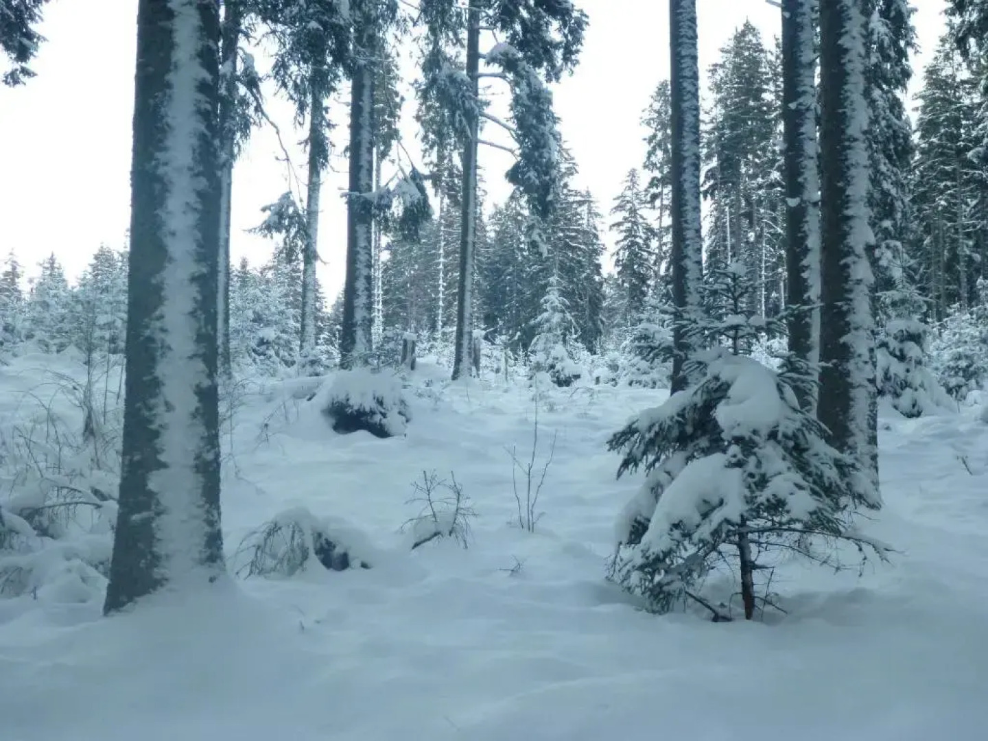 Gästehaus Hundelbach