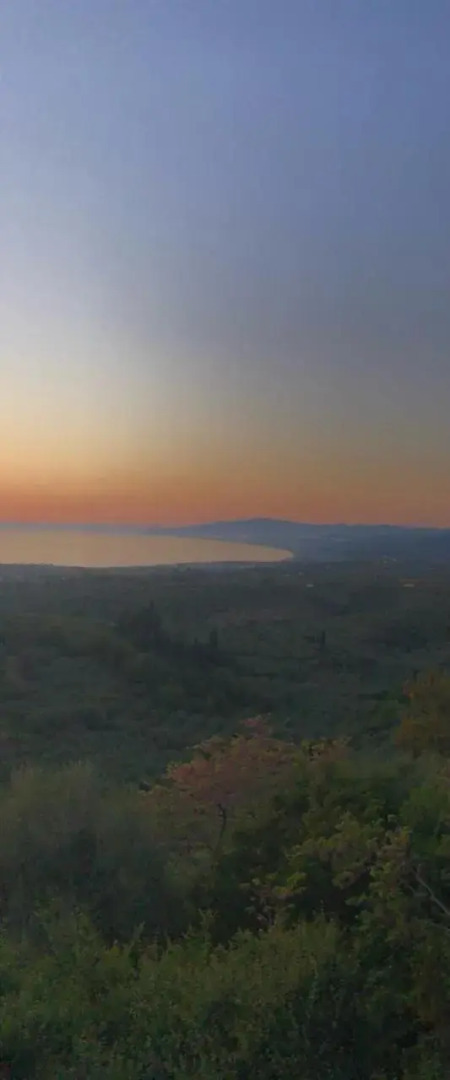 Kyparissia De Wandelboom