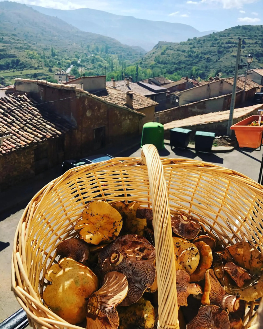 Ski & Nature Javalambre