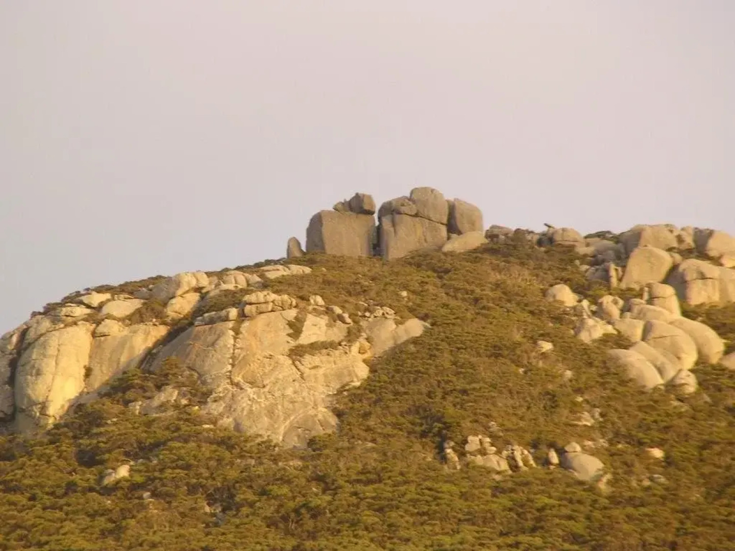 Mountain Seas Lodge and Vistas Restaurant