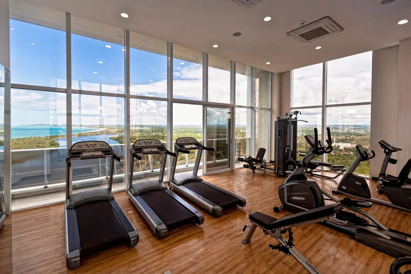 Bugan Paiva by Blue Tree