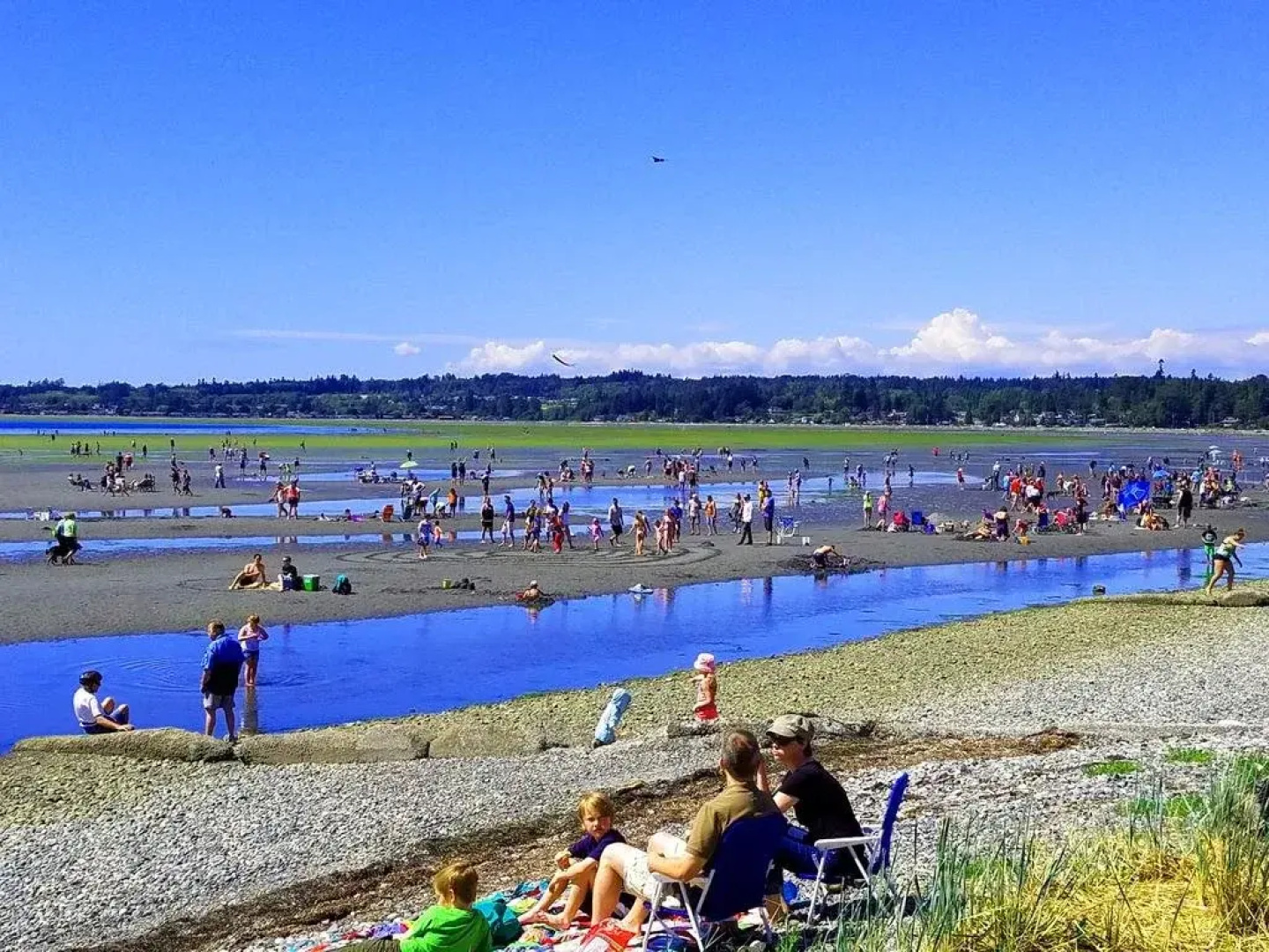 Birch Bay Getaway