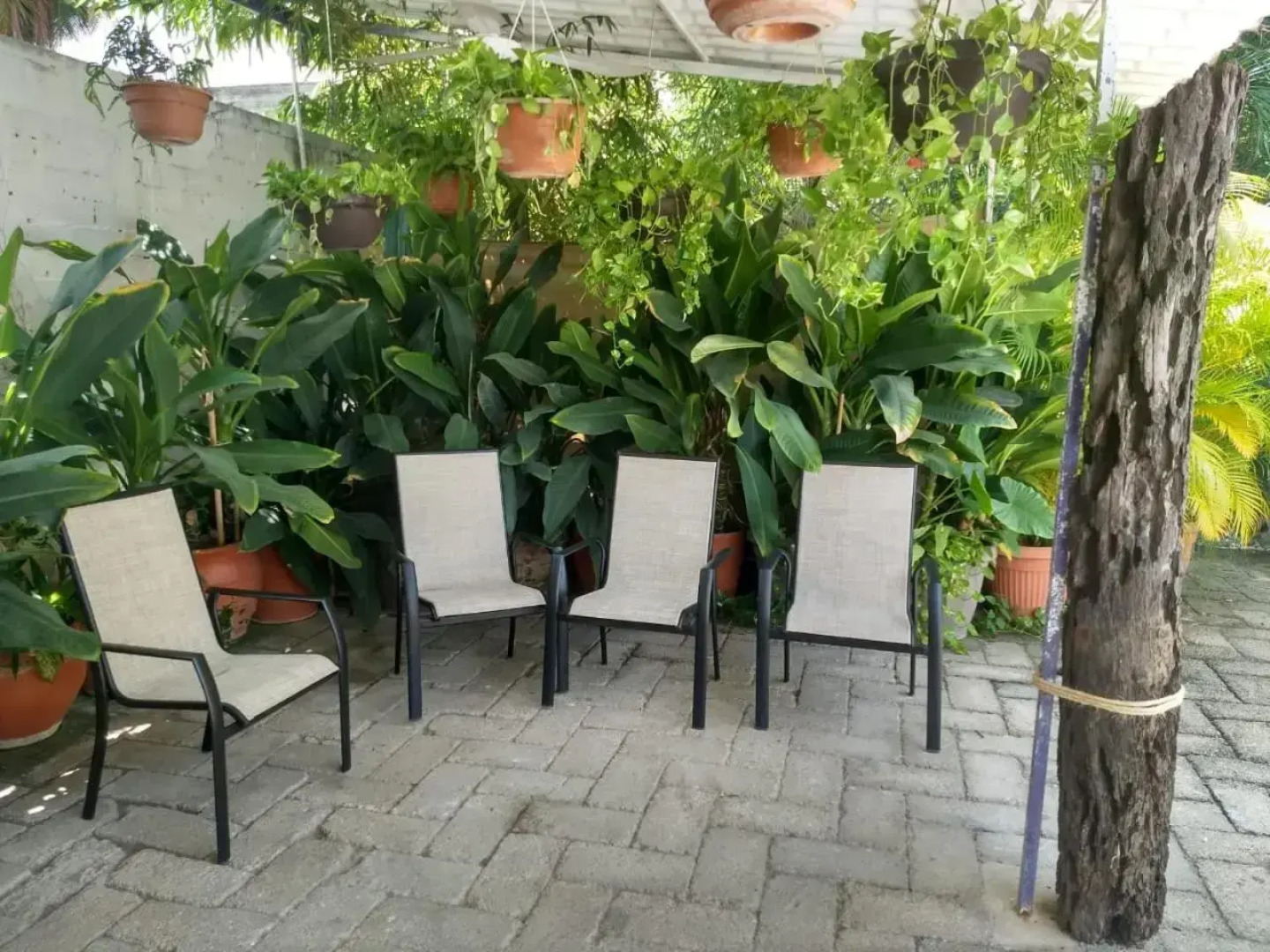 Hotel Arenas del Pacífico