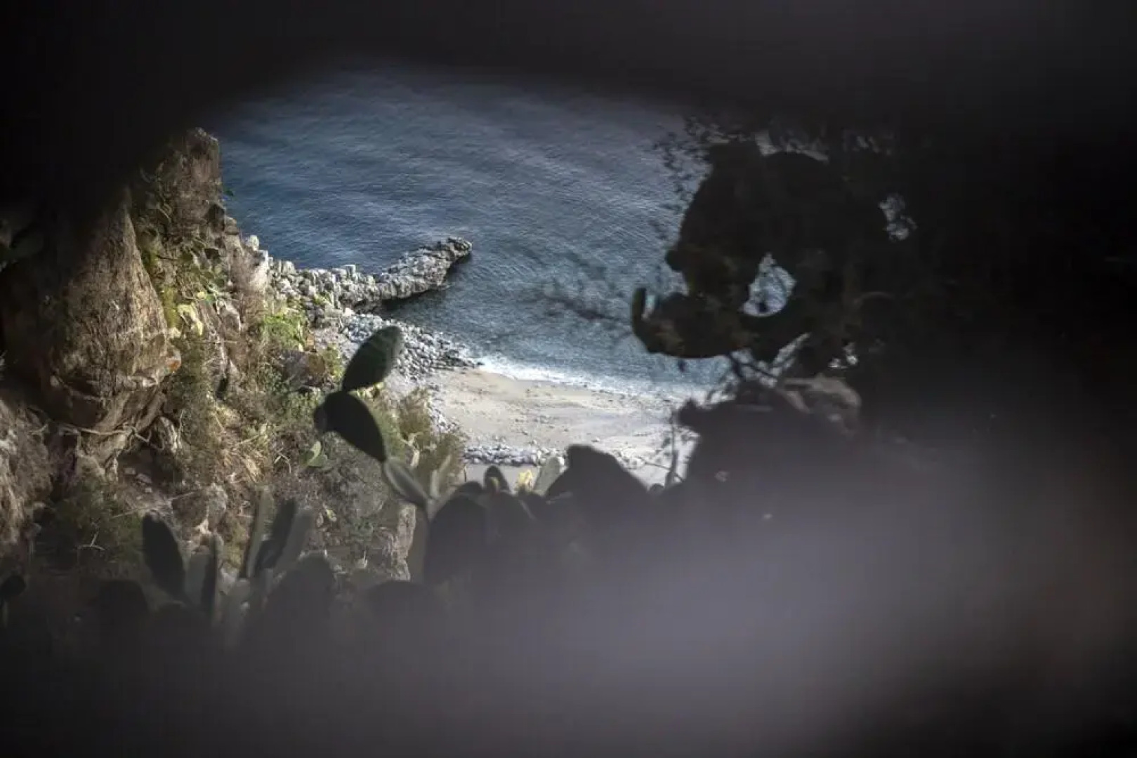 Ville Pini e Aurelia