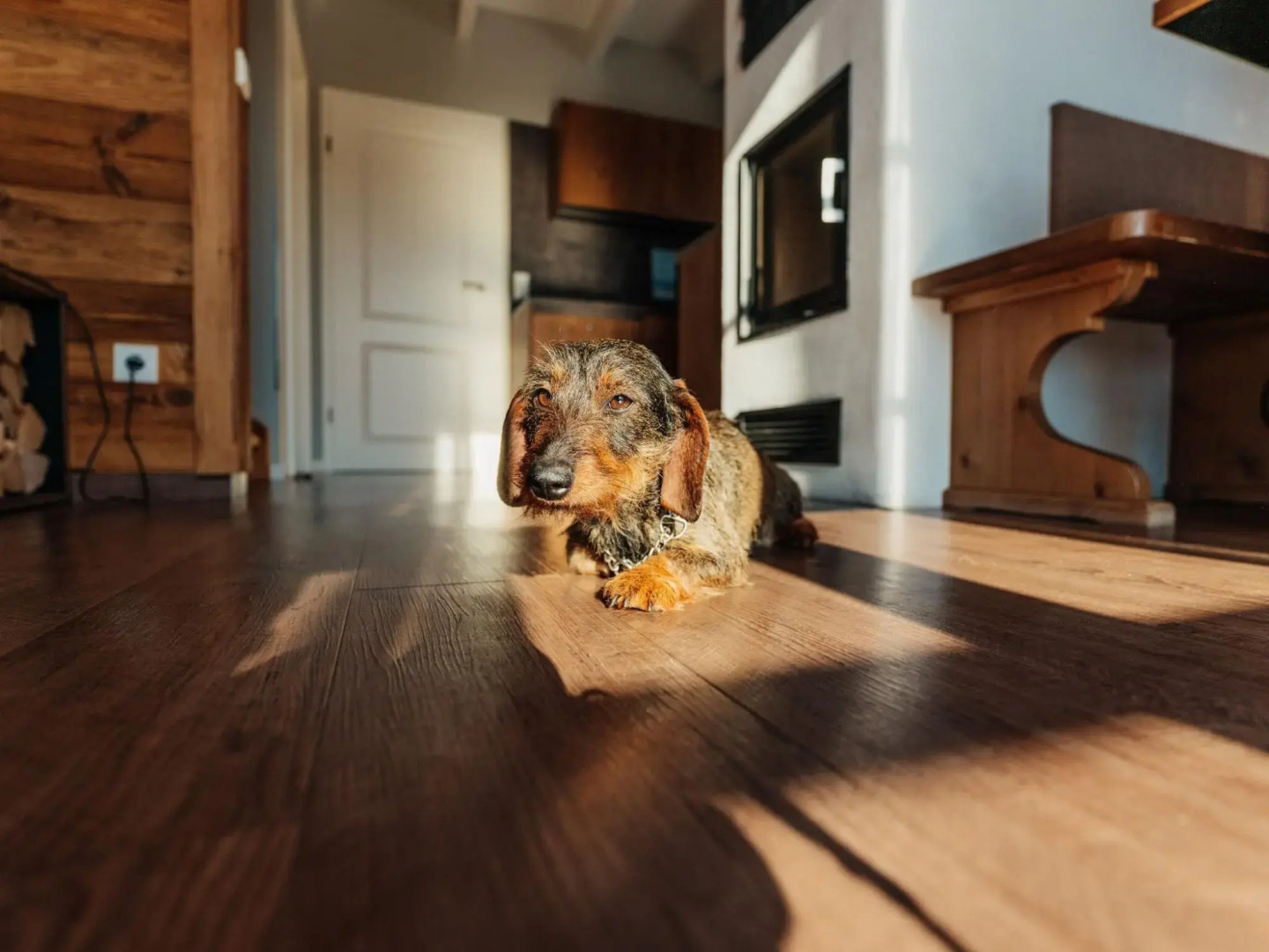 Holiday Homes in the Schierke Harzresort, Schierke