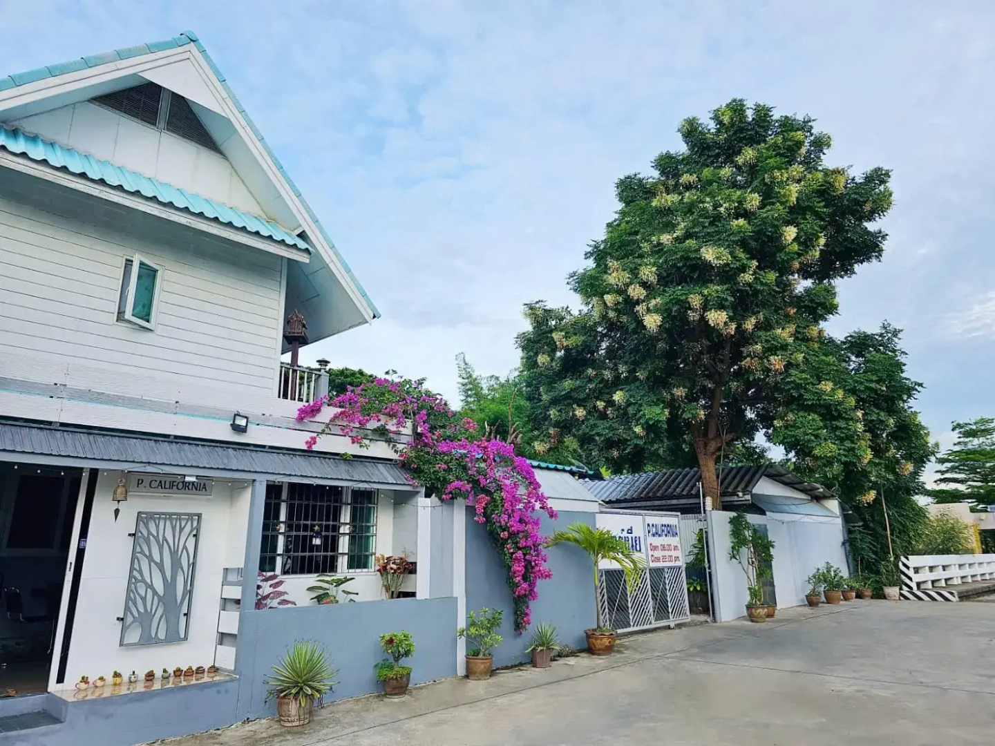 P California Inter Hostel