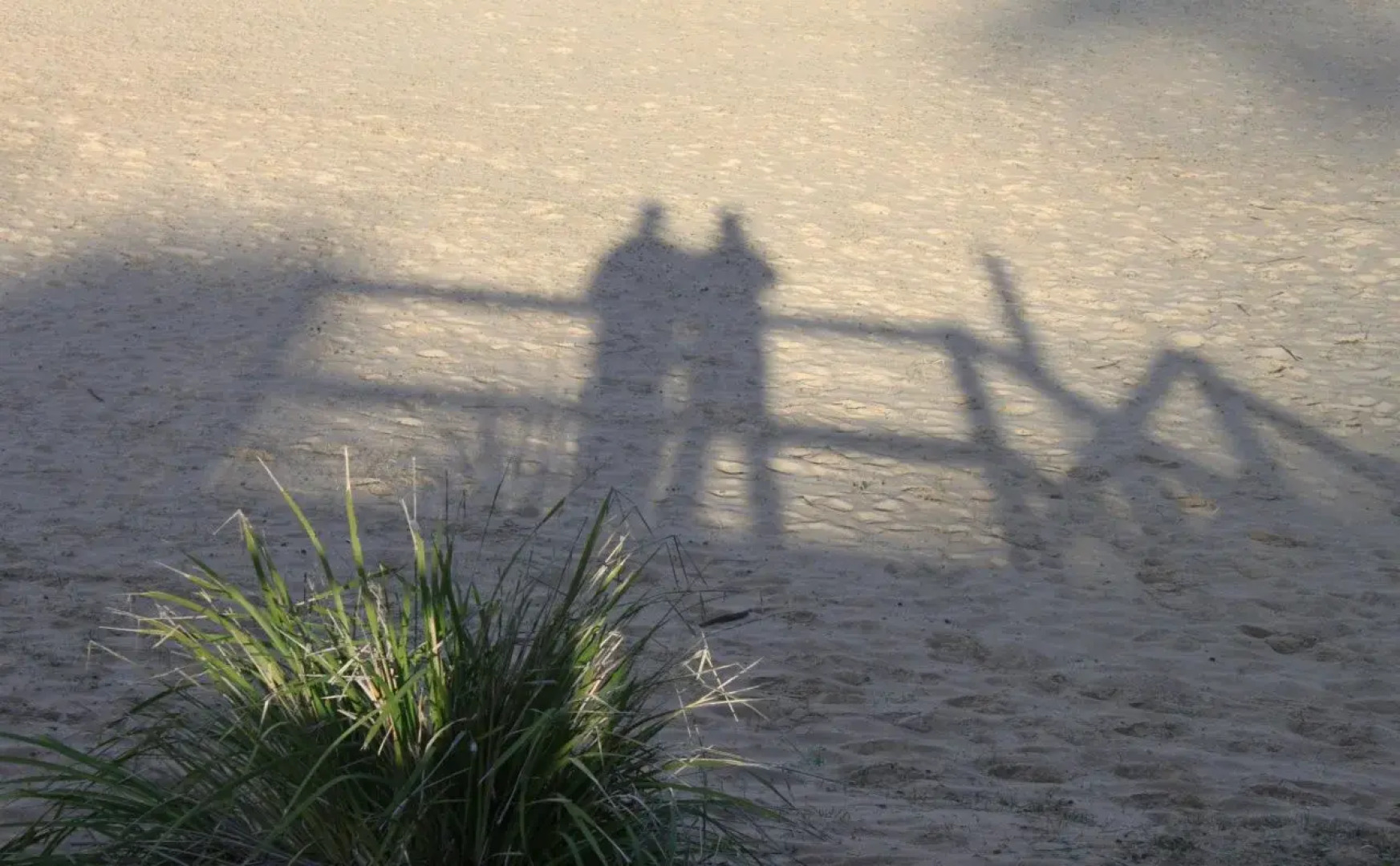 Greenwood Park Estate