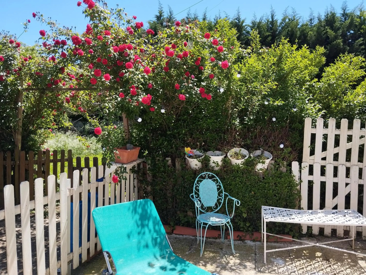 Habitacion basico y económico en casa particular