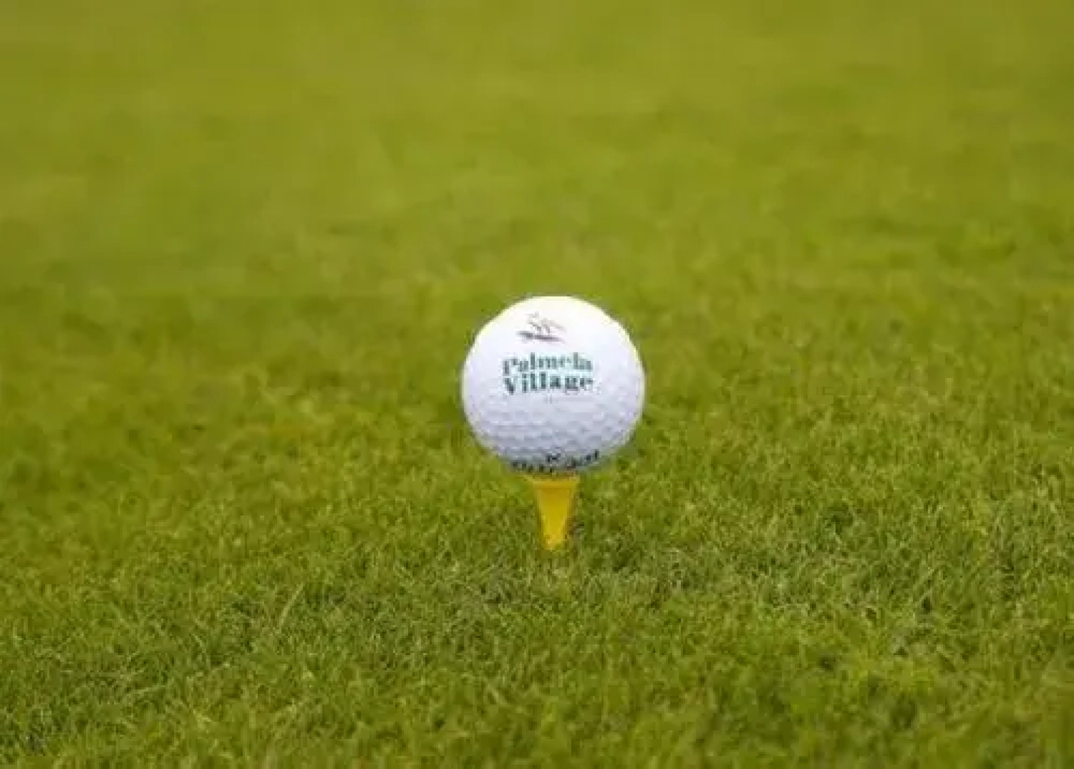 Arrabida Resort & Golf