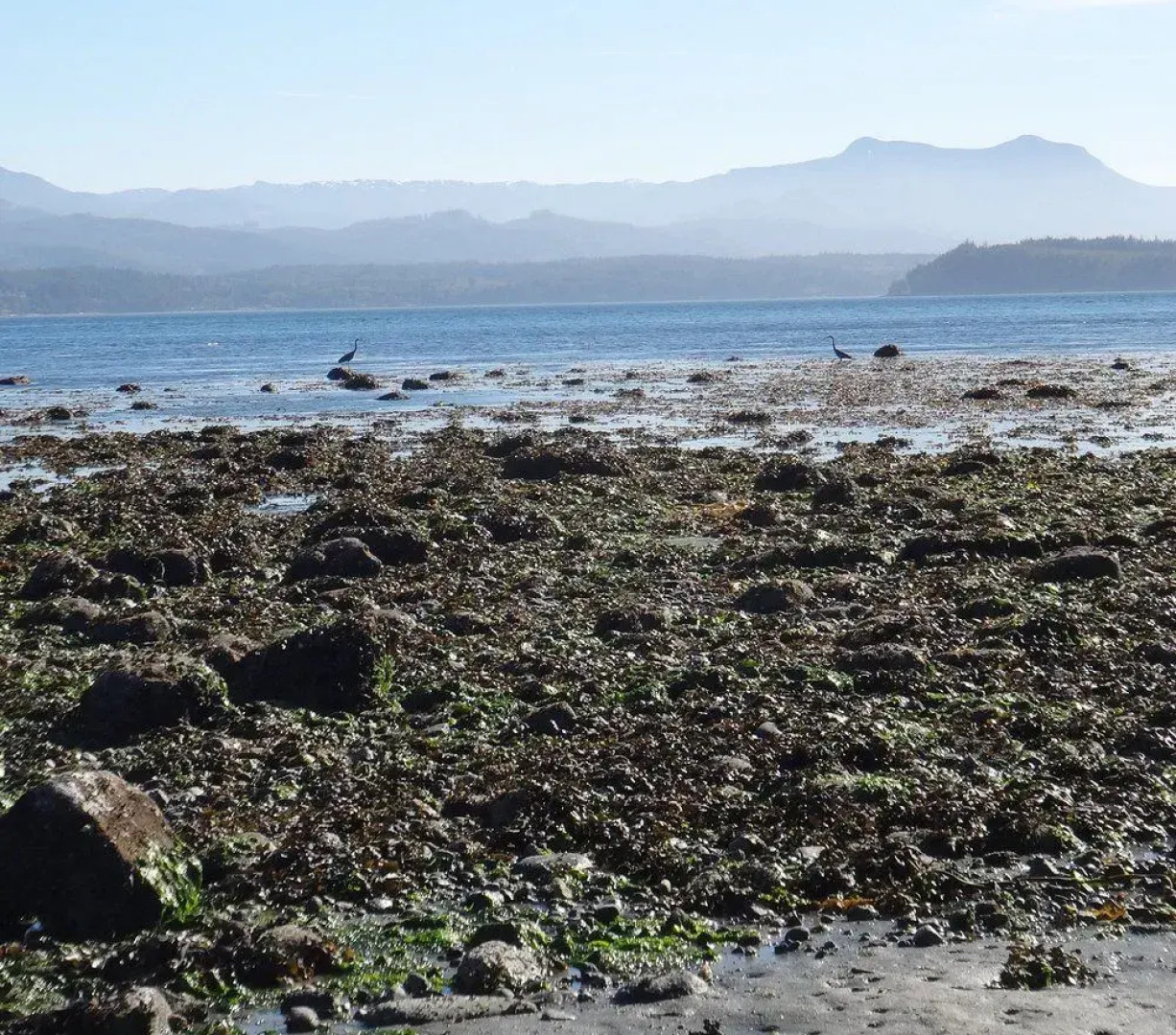 The Oceanfront Hotel