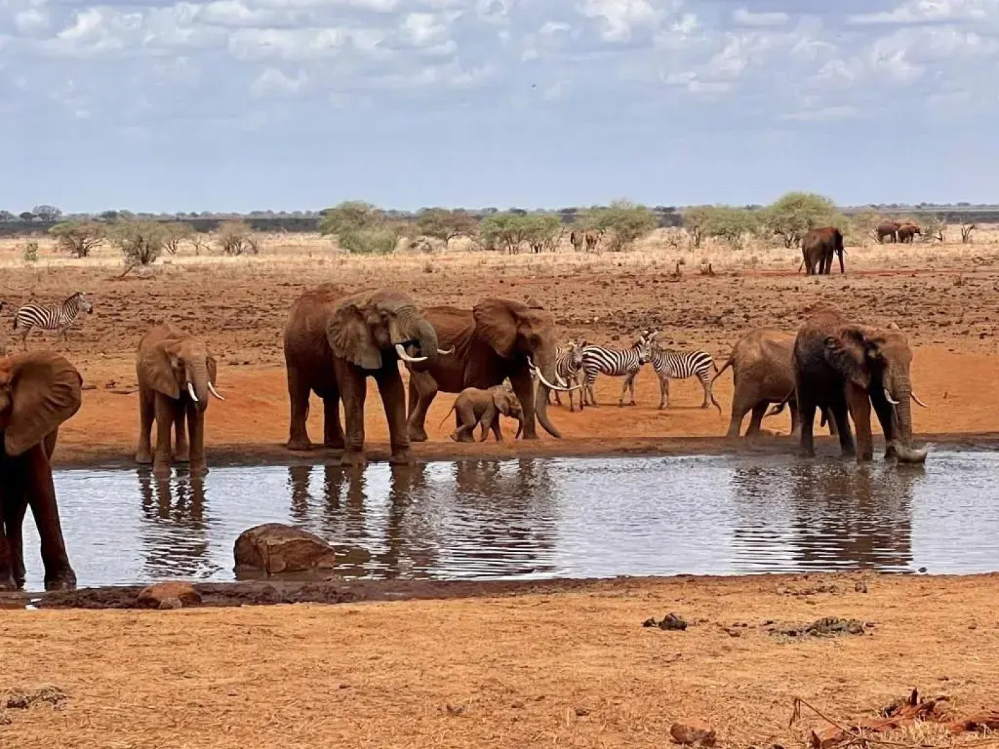 Eleven Pearl Boutique Hotel & Spa