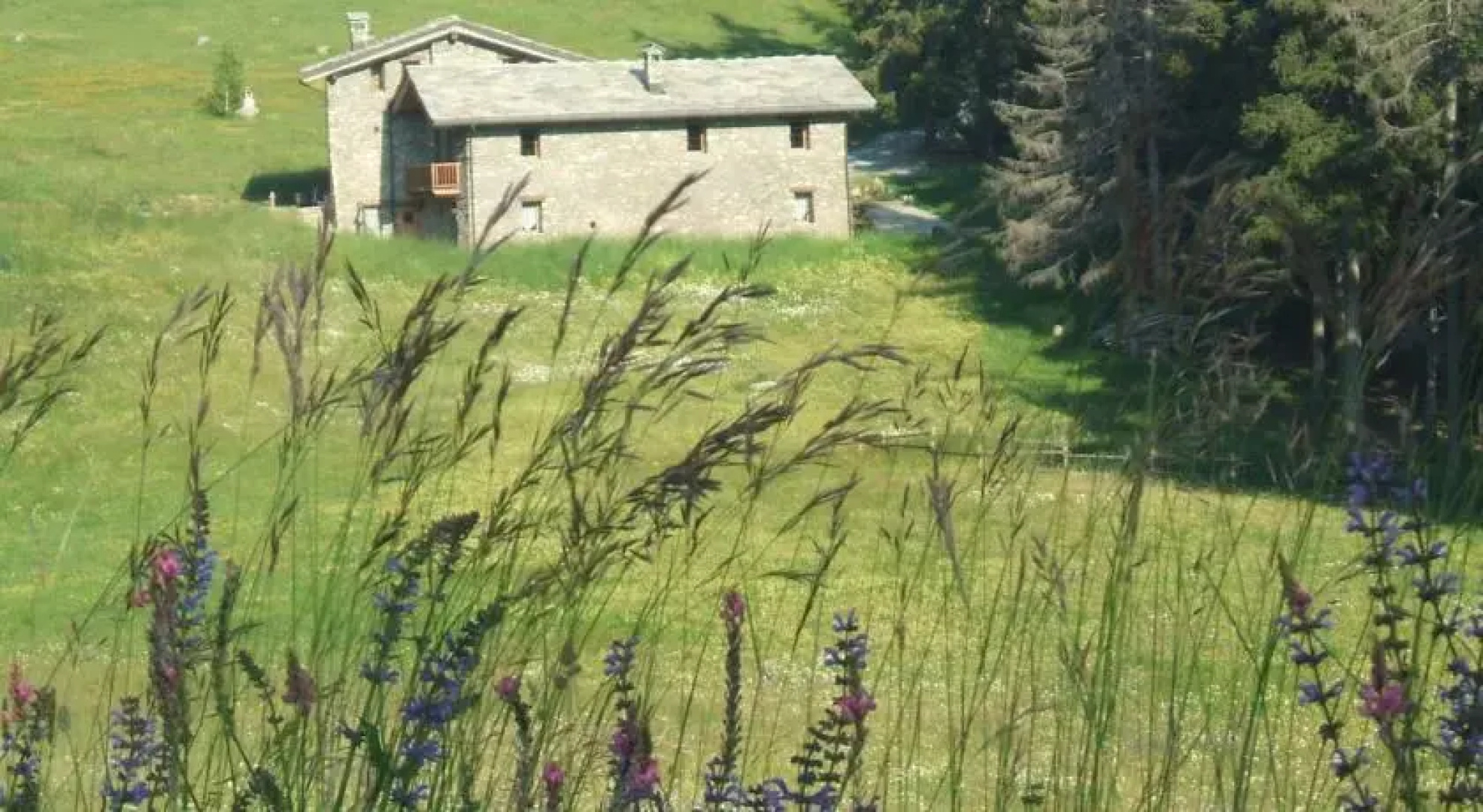 Centro ecosostenibile Lavesé