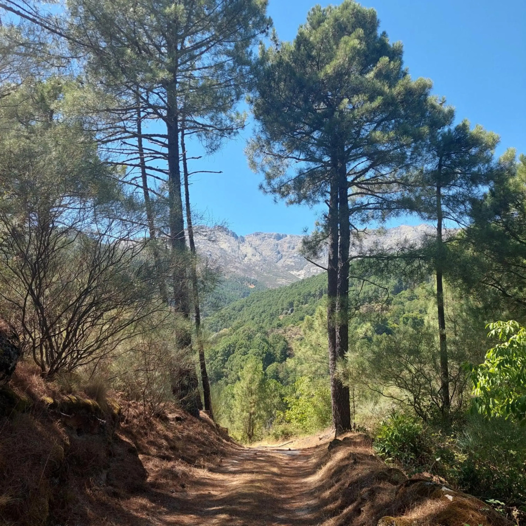Puente Canto de Gredos