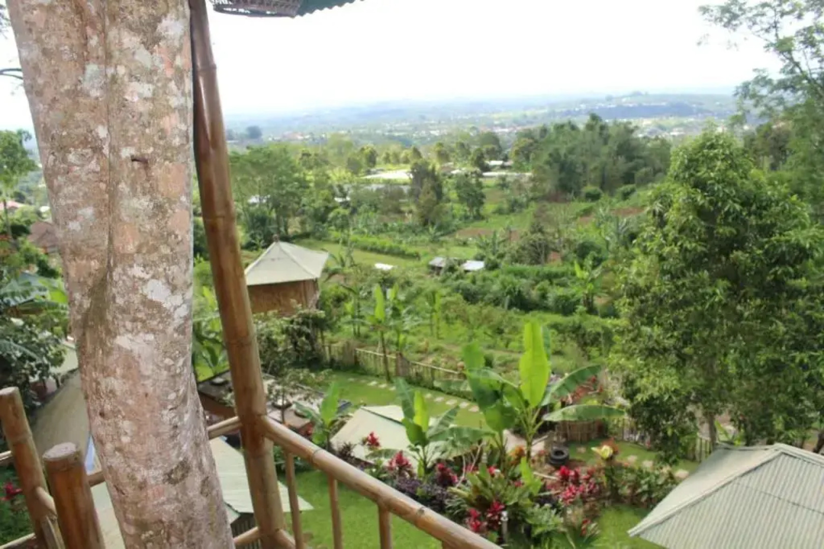 Bali Tree House Pelangi