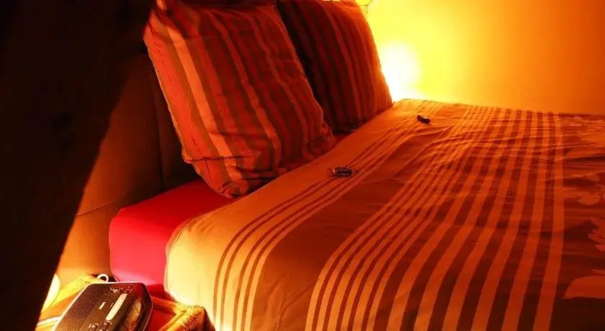 Vakantiehoeve De Torreele