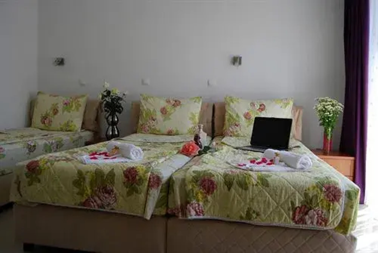 Villa Darko - VIP Accomodations