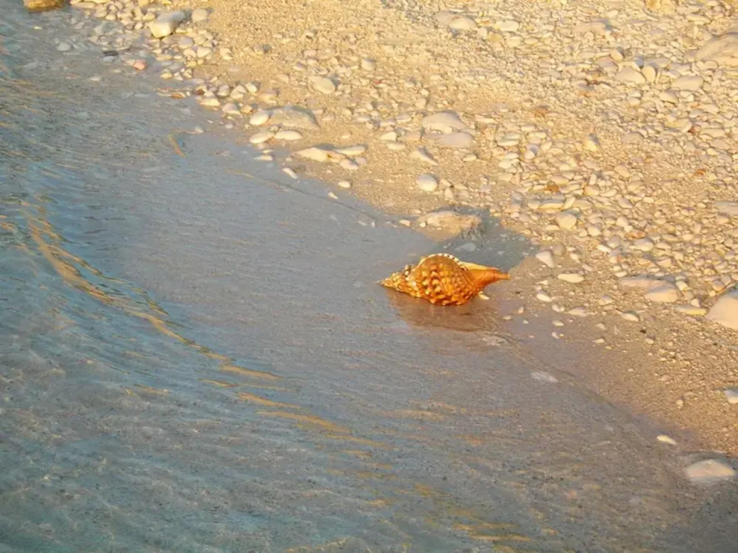 House With 2 Bedrooms in Potirna, With Wonderful sea View and Furnishe