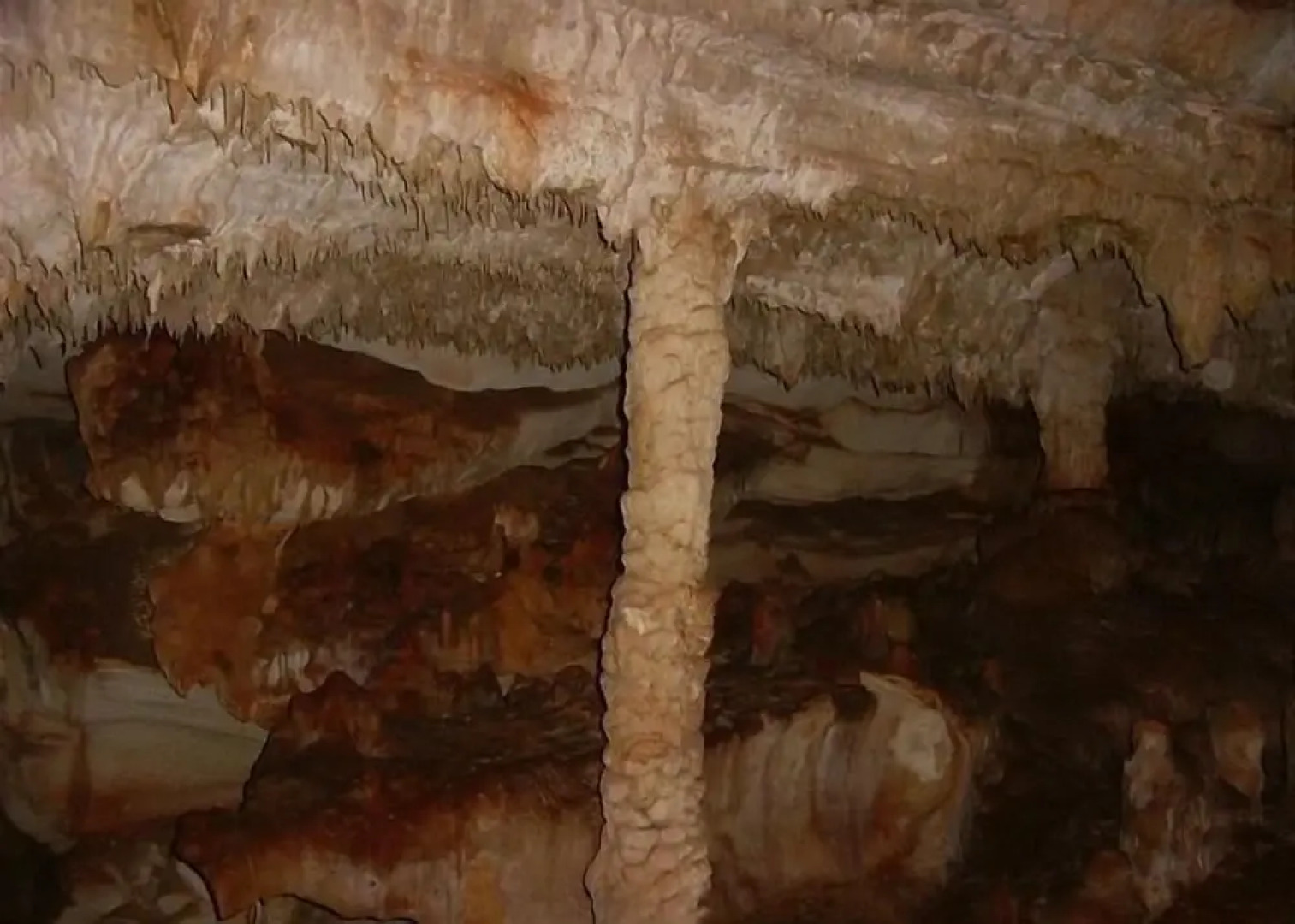 Pink Sand Cottage Cottage