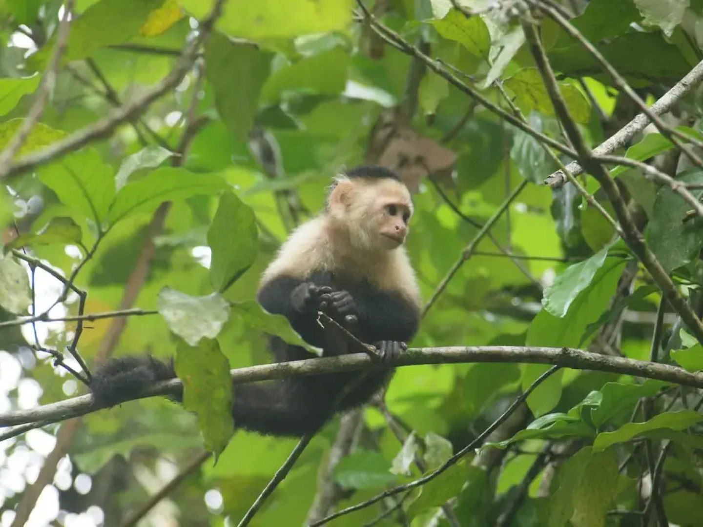 Casa Cayuco Eco-Adventure Lodge