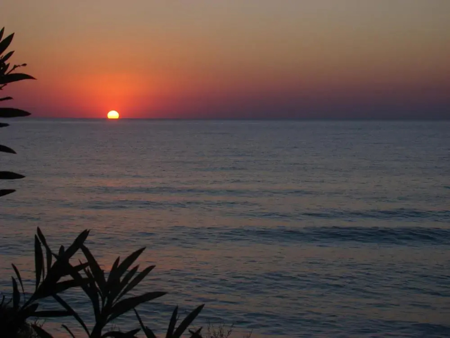 Sun Camero Apartments