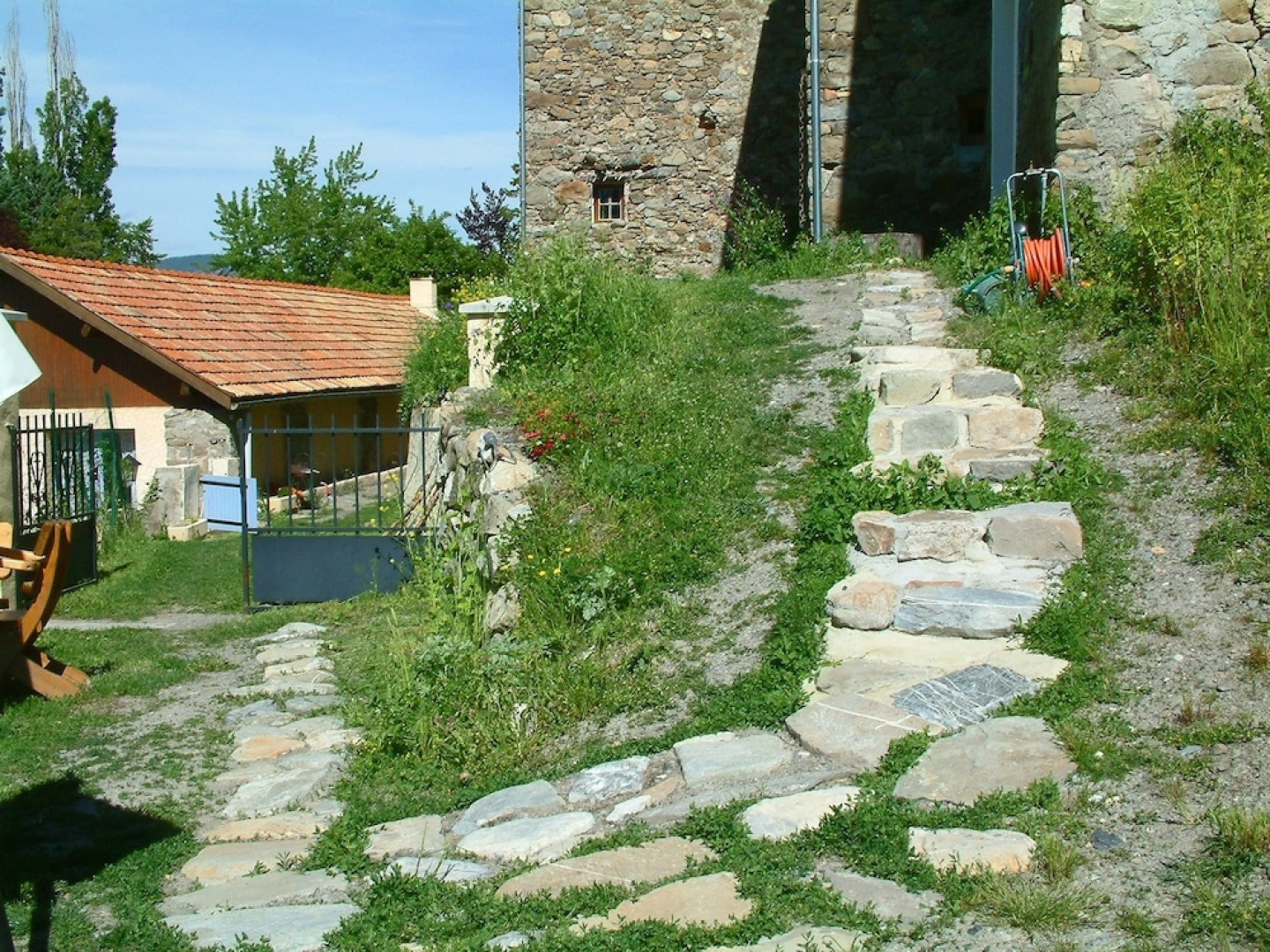 L'asphodèle