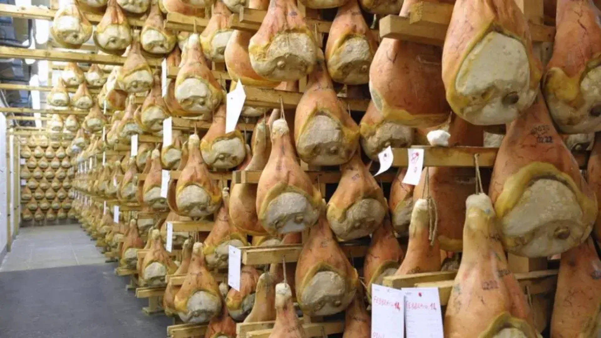 The History Apartment Montagnana