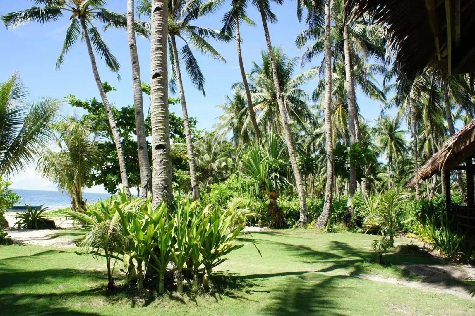 Siargao Inn Beach Resort