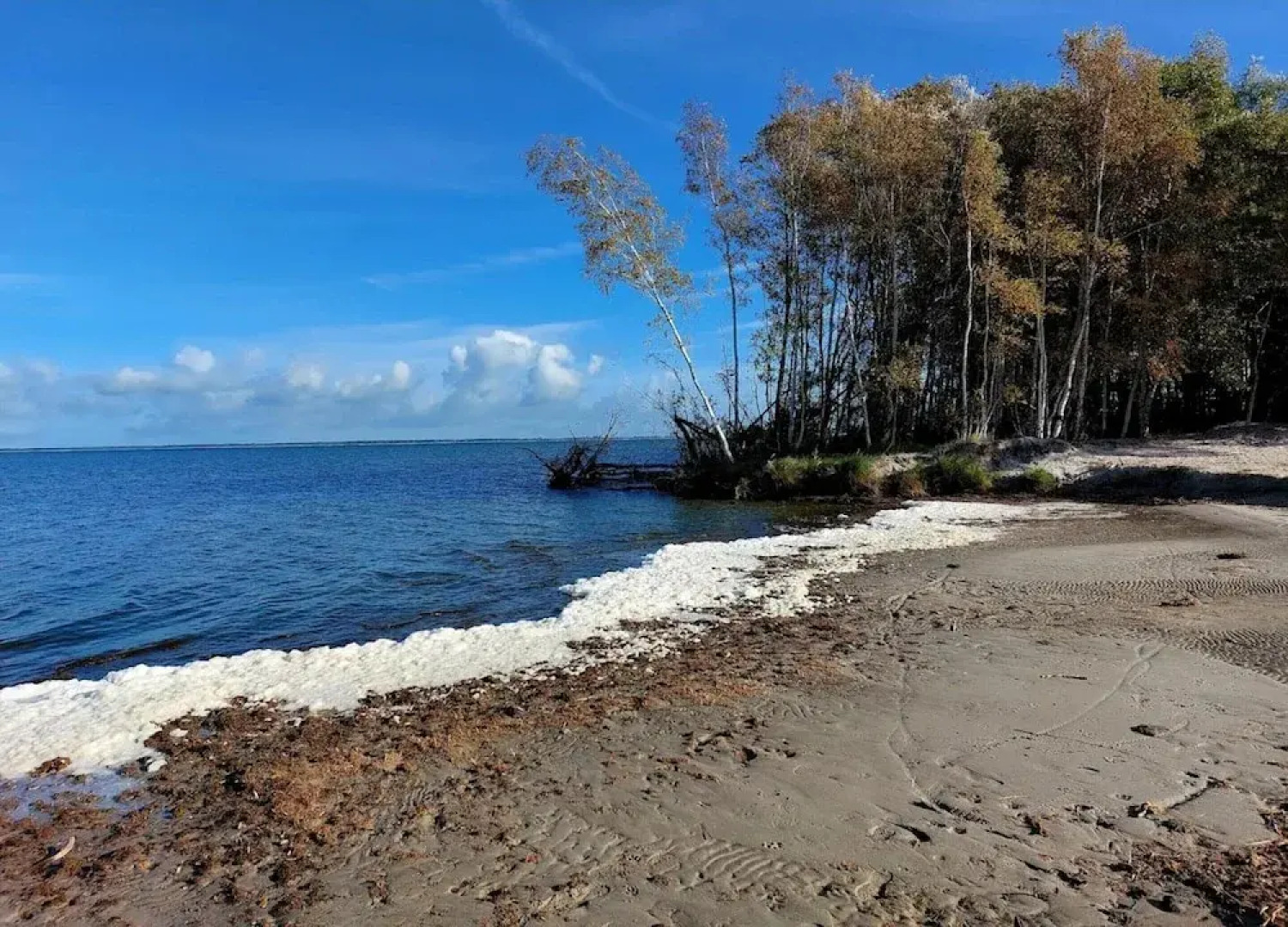 Ferienhaus in Fuhlendorf